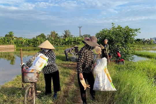 Tất cả 13 thôn ở xã Khúc Thừa Dụ xây dựng mô hình ‘Cánh đồng xanh ba không’