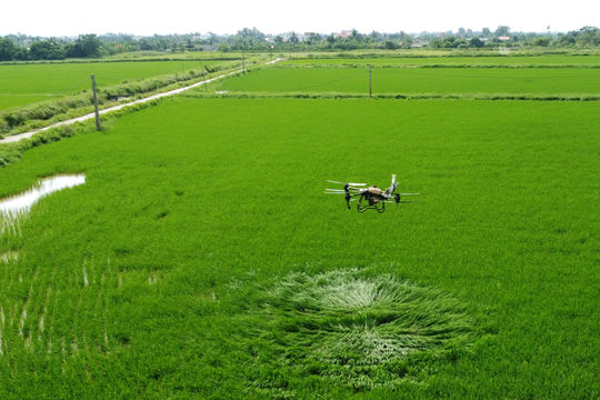 Applying technology and digital transformation for sustainable agricultural development