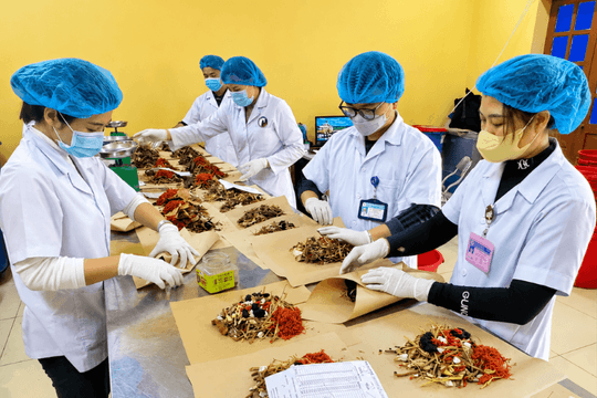 Tăng cường quản lý, chấn chỉnh hoạt động kinh doanh dược liệu
