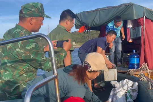 Xử lý nghiêm tàu cá gian lận vị trí hoạt động, vi phạm IUU