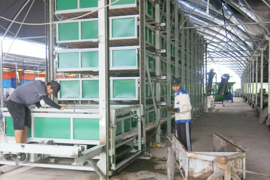 Opening export doors for cooperatives