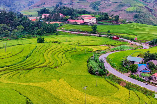Y Tý qua ống kính của các nghệ sĩ nhiếp ảnh Hải Phòng