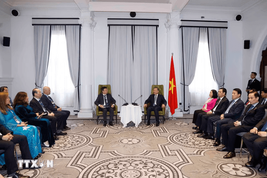 Tổng Bí thư, Chủ tịch nước Tô Lâm tiếp trí thức, nhà khoa học tiêu biểu người Việt Nam tại Australia