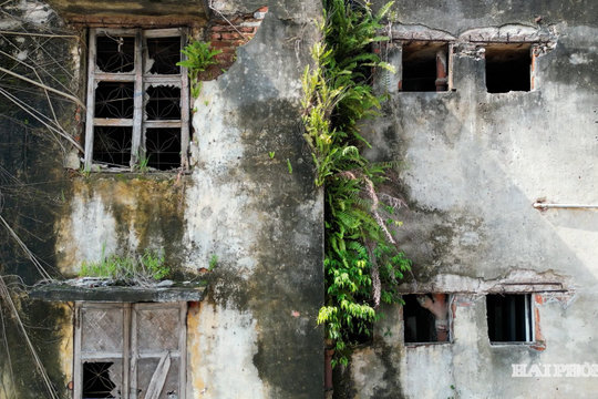 Phá dỡ khu chung cư cũ 5 tầng tại phường Đồ Sơn
