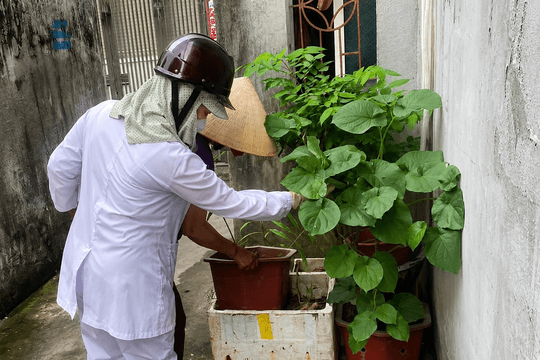 Nguy cơ dịch sốt xuất huyết ở mức cao
