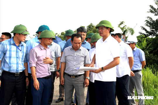 Hải Phòng thúc tiến độ giải phóng mặt bằng tuyến đường sắt tốc độ cao