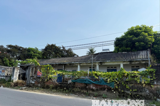 Hải Phòng đưa 88 khu đất vào đấu giá, rộng gần 42.000 m²