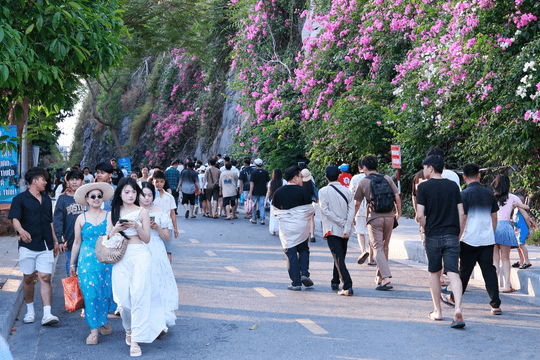 A breakthrough summer for Cat Ba tourism