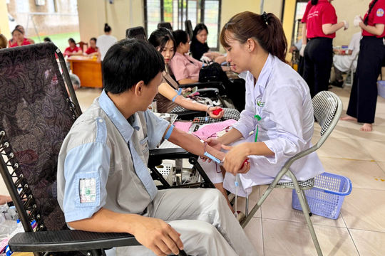 Hành trình những giọt máu đào