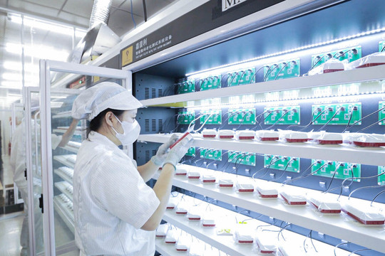 Expanding production capacity, creating new growth momentum