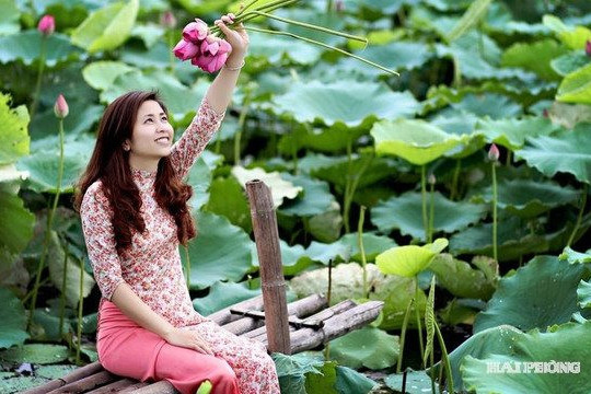 Thúc đẩy du lịch sinh thái gắn với chuyển đổi số và du lịch nông thôn