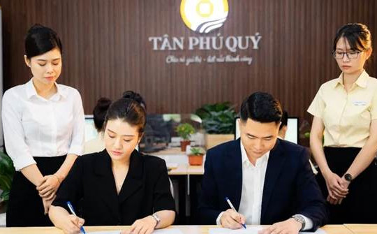 Tân Phú Quý - Dịch vụ kế toán thuế chuyên nghiệp cho doanh nghiệp tại Hải Phòng