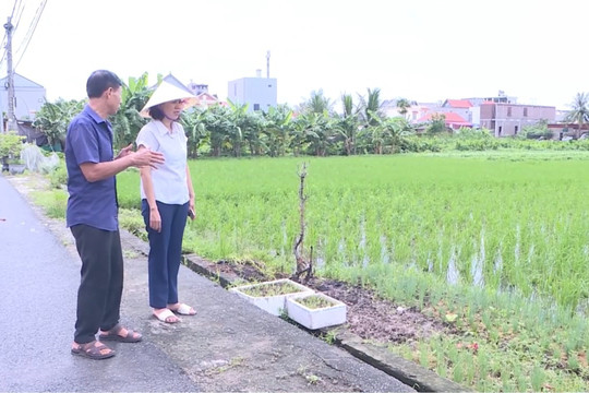 Gỡ 'nút thắt' số hóa dữ liệu đất đai tại Hải Phòng