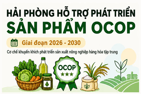 Cơ chế hỗ trợ phát triển sản phẩm OCOP tại Hải Phòng
