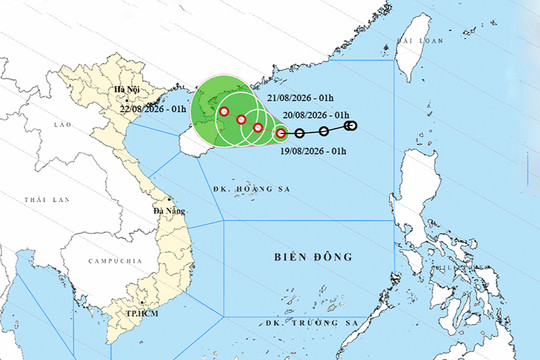 Áp thấp nhiệt đới gây biển động, miền Bắc có mưa rất to