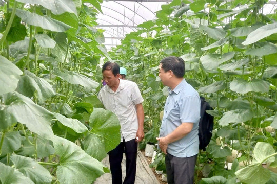 Hỗ trợ nông dân làm giàu trên đồng đất quê hương