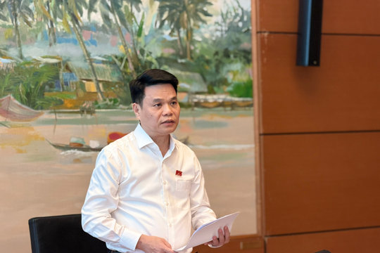 Đại biểu Quốc hội Hải Phòng thảo luận sửa đổi Bộ Luật Hình sự và 2 bộ luật, luật