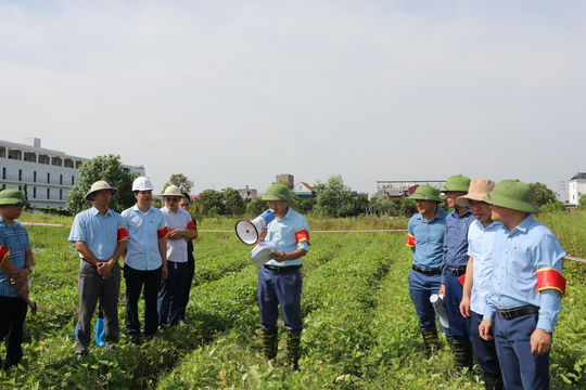 Cưỡng chế kiểm đếm thực hiện dự án điểm dân cư Vườn Đìa