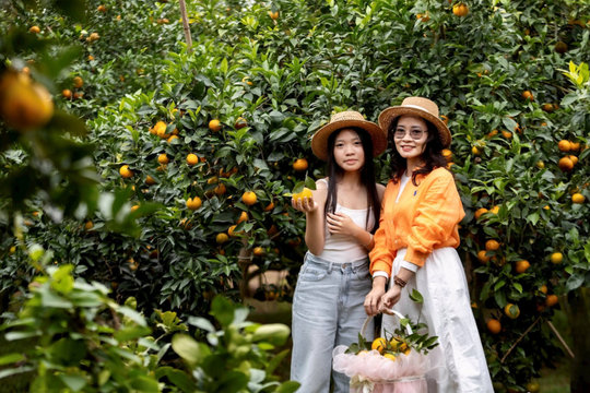 Rural areas become tourist destinations