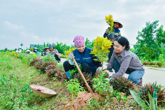 Phụ nữ xã Hà Đông làm đẹp triền đê