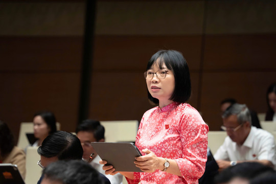Tránh định tính trong quy định tạm hoãn truy cứu trách nhiệm hình sự