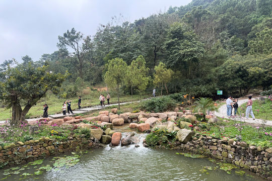 Công nghệ số nâng tầm Lễ hội Côn Sơn - Kiếp Bạc