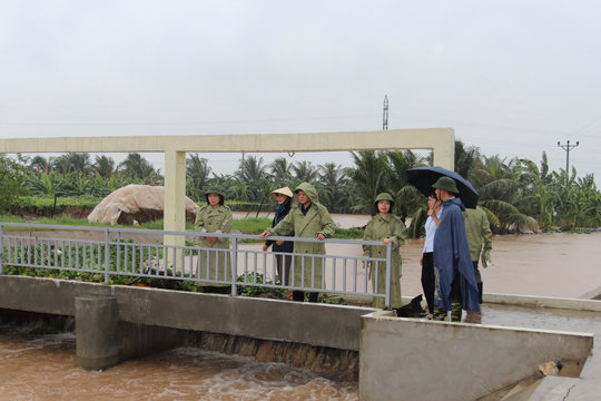 Mưa lớn kéo dài, Hải Phòng tăng cường bảo vệ lúa, thủy sản