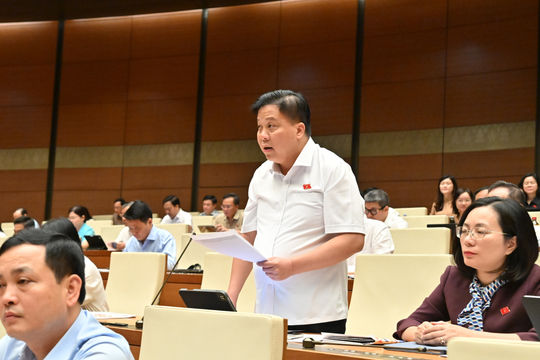 Đại biểu Hải Phòng đề xuất rõ quyền hạn điều tra viên Công an cấp xã