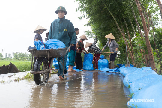 Các địa phương chạy đua tiêu úng, hạn chế thiệt hại sau mưa lớn