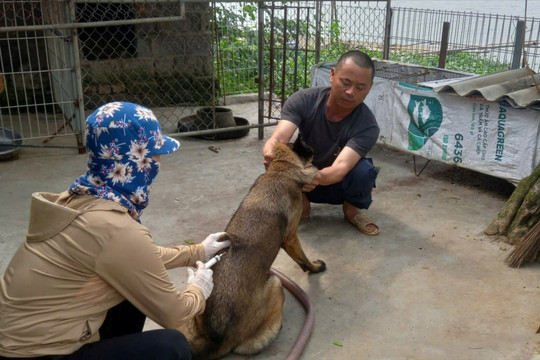 Tăng cường quản lý thuốc thú y