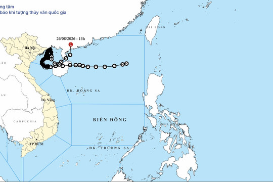 Tin cuối cùng về áp thấp nhiệt đới