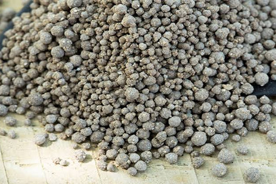 Dự án khai thác phốt phát đáy biển đầu tiên trên thế giới