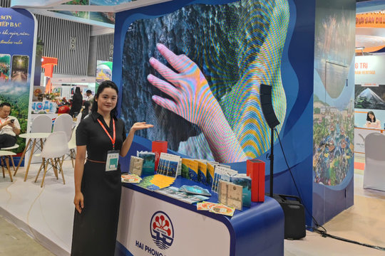 Hải Phòng quảng bá 'Kết nối di sản, vươn tầm thế giới' tại ITE HCMC 2026