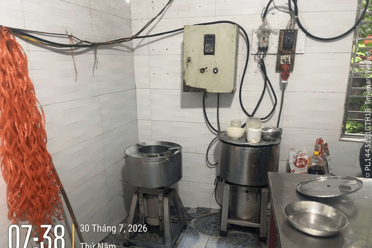 Khởi tố người phụ nữ dùng hàn the làm giò, chả