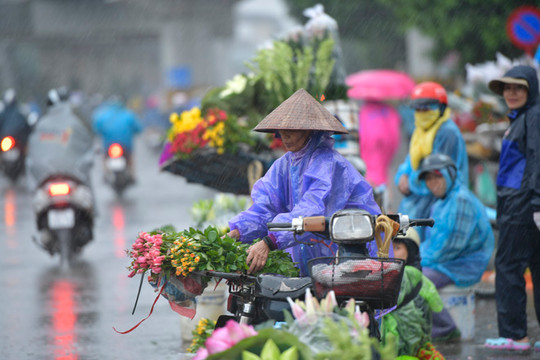 Bắc Bộ tiếp tục mưa lớn, Biển Đông sóng cao tới 4 m