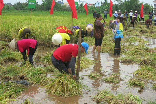 Building modern rural areas with strong cultural identity