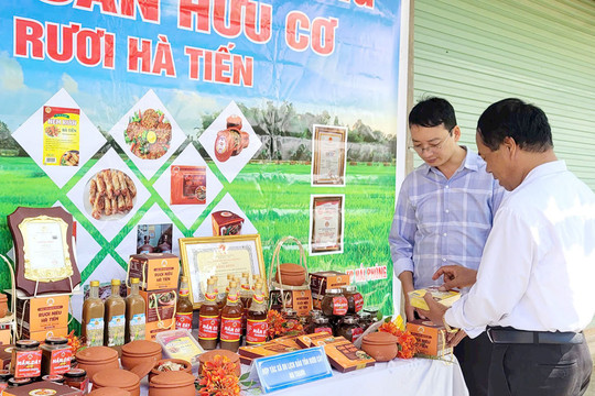 Liên kết, hỗ trợ tiêu thụ sản phẩm OCOP