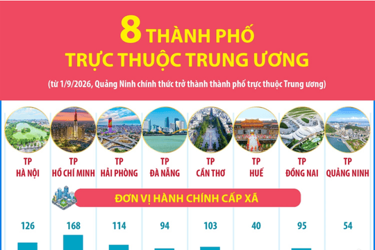 Thông tin về 8 thành phố trực thuộc Trung ương