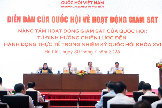 Giám sát để thúc đẩy thực thi và kiến tạo phát triển