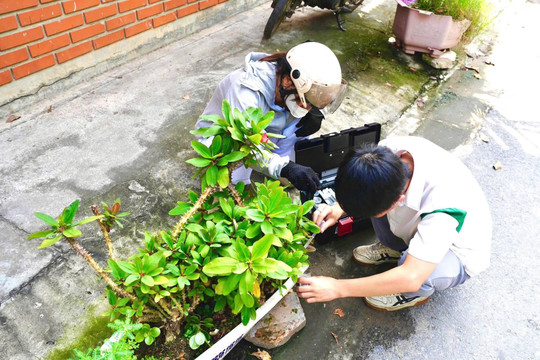 Hải Phòng ghi nhận 8 ổ dịch sốt xuất huyết mới trong 1 tuần