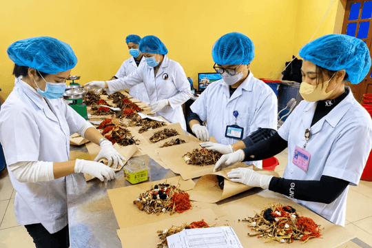 Ứng dụng khoa học công nghệ để nâng tầm giá trị dược liệu Việt Nam