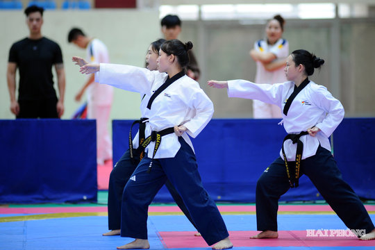 Taekwondo Hải Phòng vượt khó, giữ thành tích