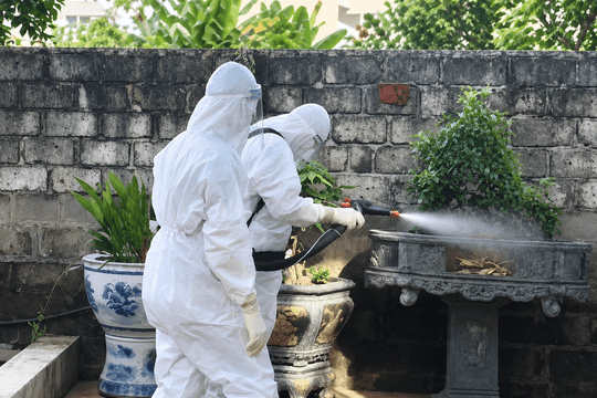 Chặn nguy cơ sốt xuất huyết lan rộng