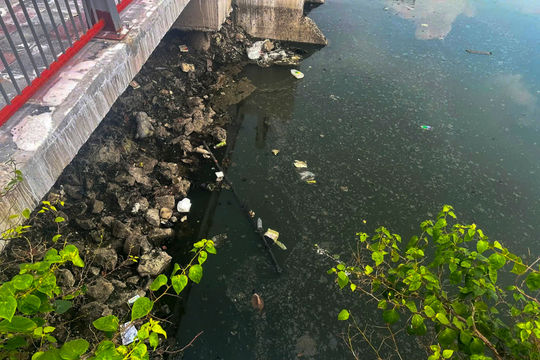 Nước Hồ Sen ô nhiễm, gây mùi khó chịu