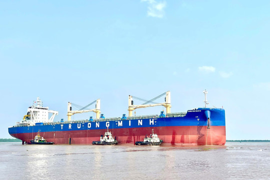 Largest Vietnamese-built 65,000-DWT cargo ship handed over