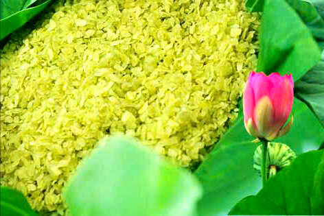 Nhớ sao hương cốm quê nhà