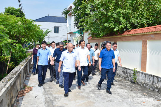 Tăng cường bảo vệ môi trường, ứng phó biến đổi khí hậu