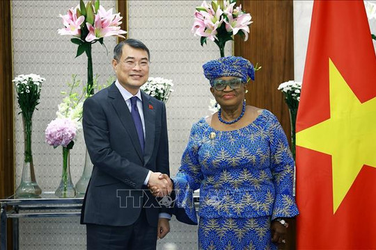 Việt Nam khẳng định trách nhiệm với hệ thống thương mại đa phương