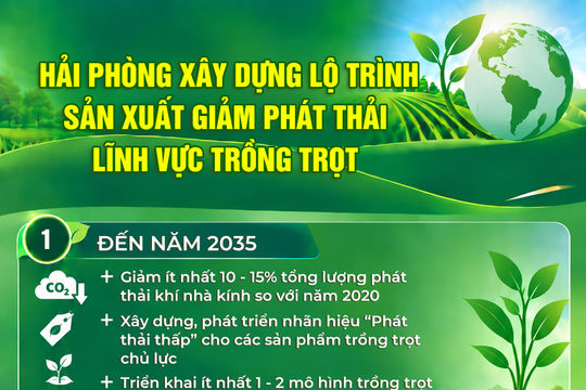 Lộ trình giảm phát thải lĩnh vực trồng trọt ở Hải Phòng