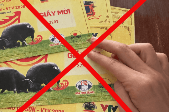 Xuất hiện giấy mời giả dự Lễ hội chọi trâu Đồ Sơn - VTV 2026
